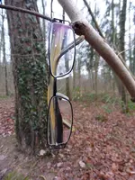 P1010433.webp
