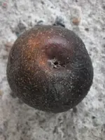 DSCF6773.webp