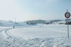DSCF5254 (2).webp