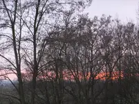 DSCF9023.jpg