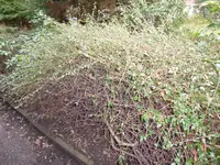 P1030277.webp