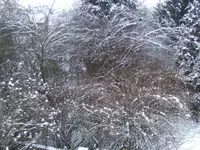 BILD4816.webp