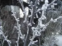 BILD4829.webp