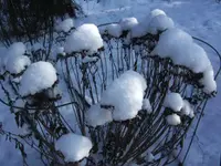 BILD4835.webp