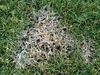 IMG_1314.webp IMG_1314.webp