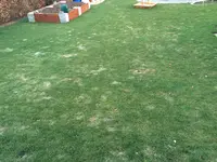 IMG_1315.webp IMG_1315.webp