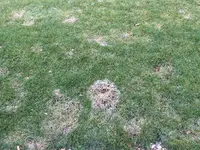 IMG_1316.webp IMG_1316.webp