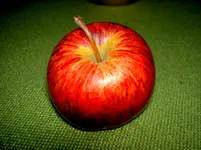 Apfelernte (7)v.jpg