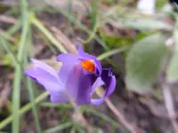 P1020578.webp