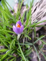 P1020638.webp