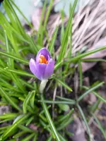 P1020638.webp