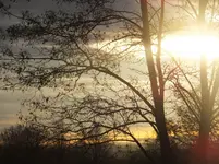 DSCF9101.jpg