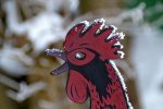DSC_5867.jpg