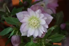 DSC04163.webp