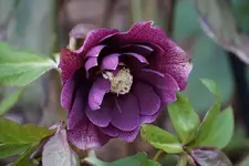DSC04170.webp