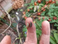 DSCF6610.webp