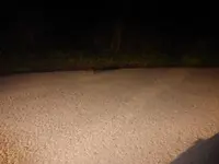 P1020665.webp