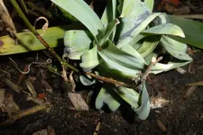 SAM_0708.webp