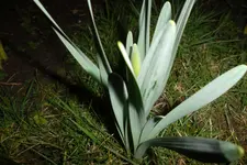 SAM_0713.webp
