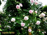 IMG_4894-001.webp