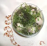tulpe im Glas 001.webp