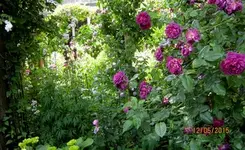 IMG_5140-001.webp