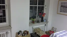 gruenlilie2.webp
