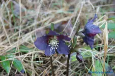 comp_DSC04520.webp
