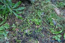 comp_DSC04519.webp