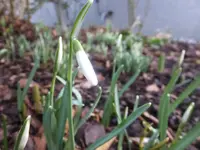 DSCF9098.webp