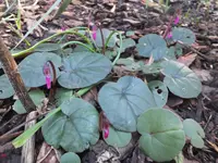 DSCF9083.webp