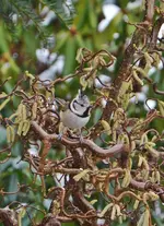 DSC_6442.webp