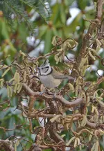 DSC_6443.webp
