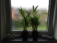 2016-01-31 14.53.16.jpg