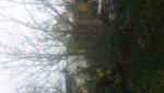 20151107_102838.jpg