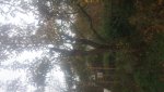 20151107_102846.jpg