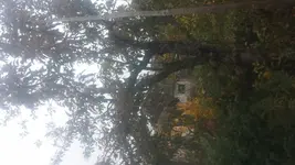 20151107_102857.jpg