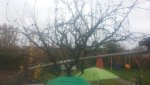 20151107_102742.jpg