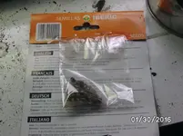 Palme (2).webp