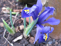 Frühling 2016.webp