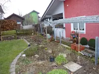P1040385.webp