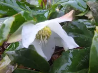 DSCF9147.webp