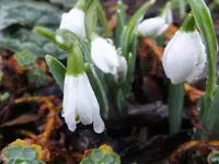 DSCF9128.webp