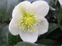 DSCF9131.webp