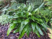 DSCF9138.webp