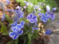 DSCF9115.webp