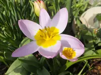 DSCF9126.webp