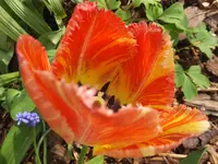 DSCF9161.webp