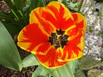 DSCF9172.webp