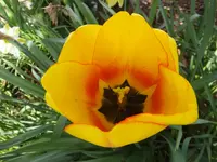 DSCF9211.webp